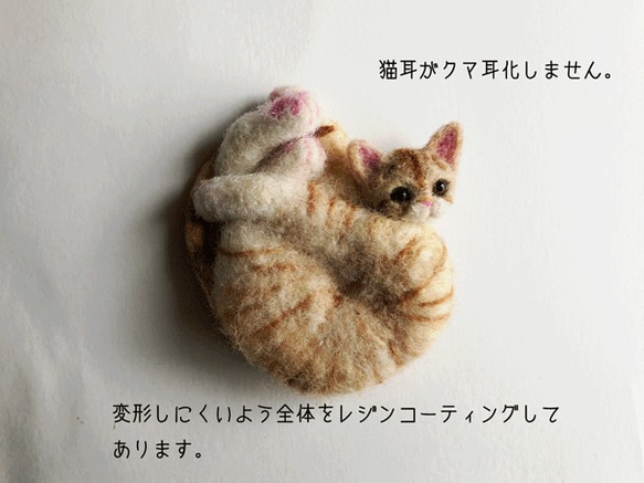 アンモニャイトH　茶トラの子猫　ブローチ＆ペンダント　形状安定羊毛フェルト 5枚目の画像