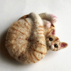 アンモニャイトH　茶トラの子猫　ブローチ＆ペンダント　形状安定羊毛フェルト 6枚目の画像