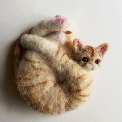 アンモニャイトH　茶トラの子猫　ブローチ＆ペンダント　形状安定羊毛フェルト 7枚目の画像