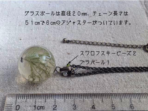 Botanical jewelry  サルオガセ (苔） 2枚目の画像