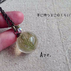 Botanical jewelry  サルオガセ (苔） 3枚目の画像