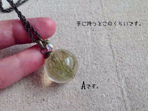 Botanical jewelry  サルオガセ (苔） 3枚目の画像