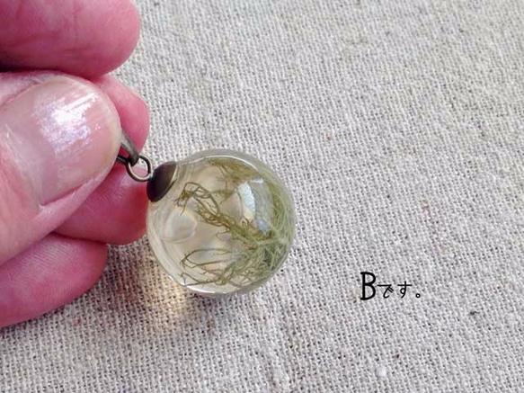 Botanical jewelry  サルオガセ (苔） 4枚目の画像