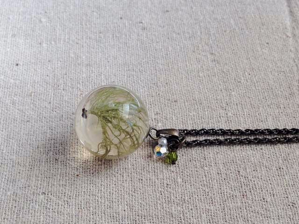 Botanical jewelry  サルオガセ (苔） 5枚目の画像