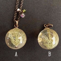 Botanical jewelry  サルオガセ (苔） 6枚目の画像