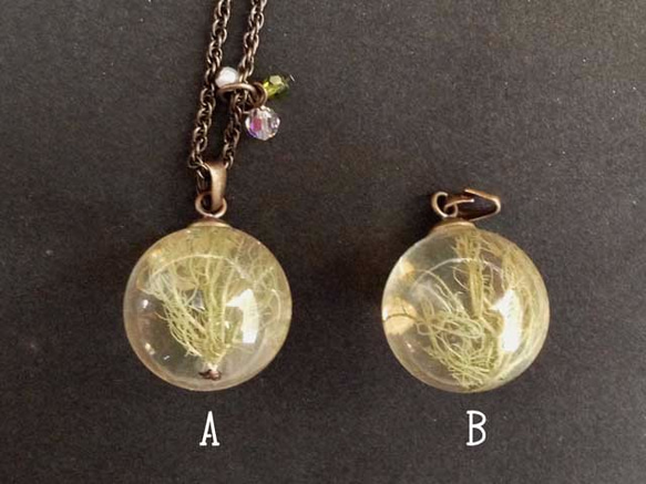 Botanical jewelry  サルオガセ (苔） 6枚目の画像