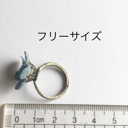 Botanical Jewelry  ブルースターの指輪　受注製作 2枚目の画像