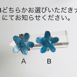 Botanical Jewelry  ブルースターの指輪　受注製作 3枚目の画像