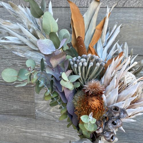 キングプロテアのスワッグ ドライフラワー iroha 通販 11294443