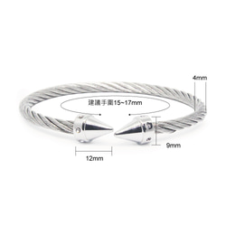 Stainless Steel Multi-strand bangle with crystal arrow ends 8枚目の画像