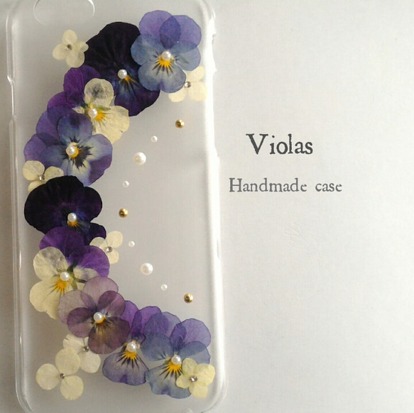 Violas 1枚目の画像