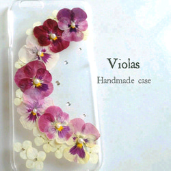 Violas 3枚目の画像
