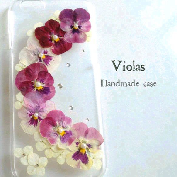 Violas 3枚目の画像