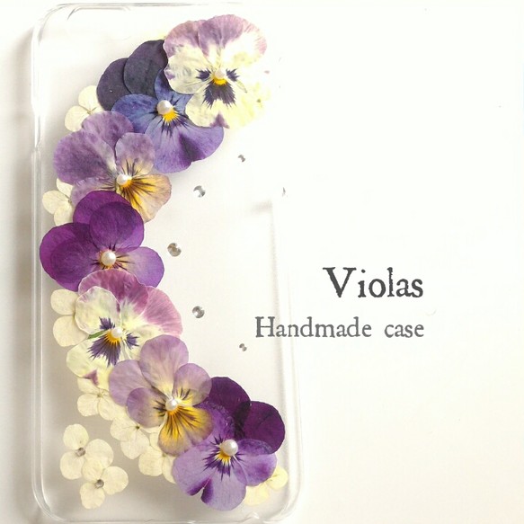 Violas 4枚目の画像