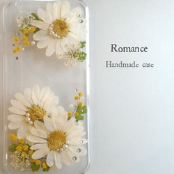 Romance 1枚目の画像