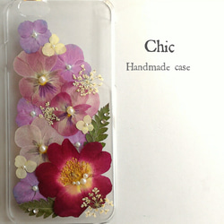 Chic 1枚目の画像