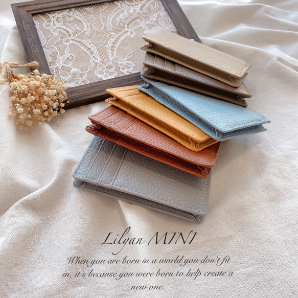 コインケース トープ レザー 牛革 本革 ミニジップ ミニ 財布 カードケース 小銭入れ お札入れ 多機能 3枚目の画像