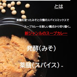 発酵スープカレー骨付きチキン　２個入り 3枚目の画像