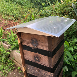 日本蜜蜂 重箱用 屋根 30cm用  ニホンミツバチ 1枚目の画像