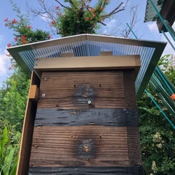 日本蜜蜂 重箱用 屋根 30cm用  ニホンミツバチ 4枚目の画像