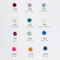 ✨ SWAROVSKI   誕生石カラー  イヤーカフ 3枚目の画像