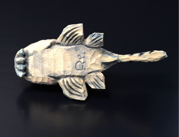 コリドラス　ジュリー　熱帯魚　アクアリウム　木彫　オブジェ 5枚目の画像