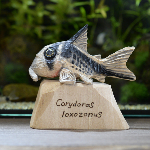 コリドラス ロクソゾヌス 熱帯魚 アクアリウム 木彫 オブジェ その他
