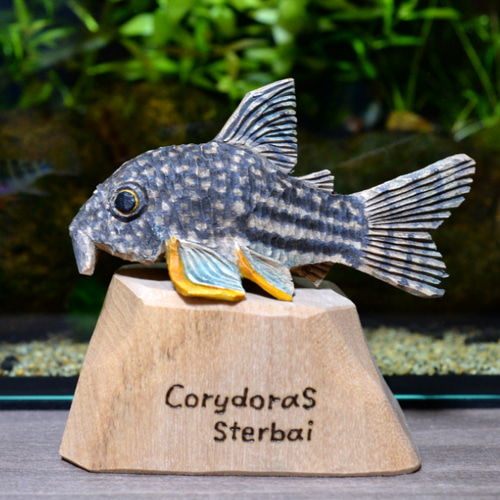 コリドラス ステルバイ 熱帯魚 アクアリウム 木彫 オブジェ その他置物