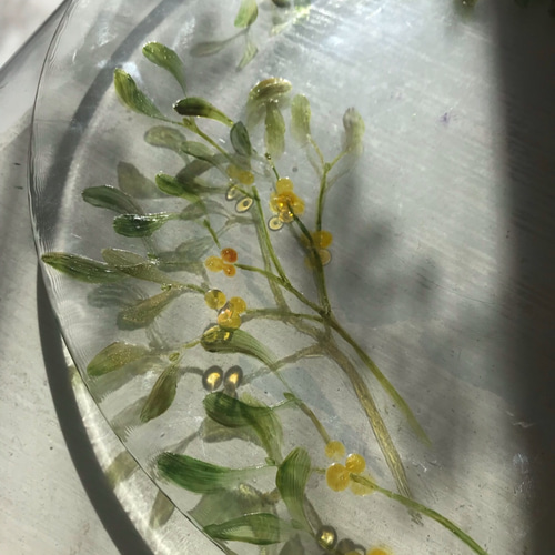 ヤドリギのおしゃれなガラスのお皿 大皿 Ariel 🥀 通販 11295009