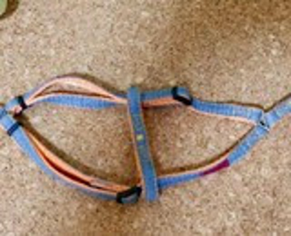 ソラママ 様専用オーダーページ　首輪&リード　1.5センチ幅　バタフライ型ハーネス1センチ幅 3枚目の画像