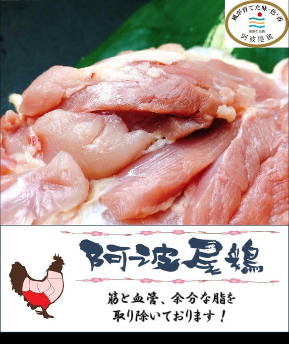 【ギフトボックス】阿波尾鶏 もも肉 セット 500g【送料無料】 3枚目の画像