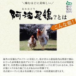 【ギフトボックス】阿波尾鶏 もも肉 セット 500g【送料無料】 5枚目の画像