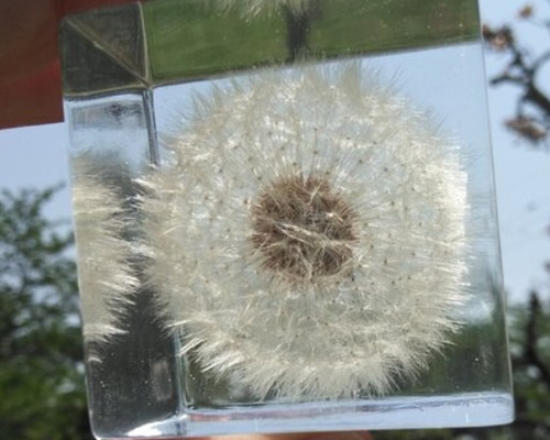 0_b3dd7623ef4cb23d45a6407d84aa