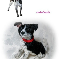 [受注製作]　高さ20ｃｍお座りポーズ・写真から作る愛犬のぬいぐるみ 4枚目の画像
