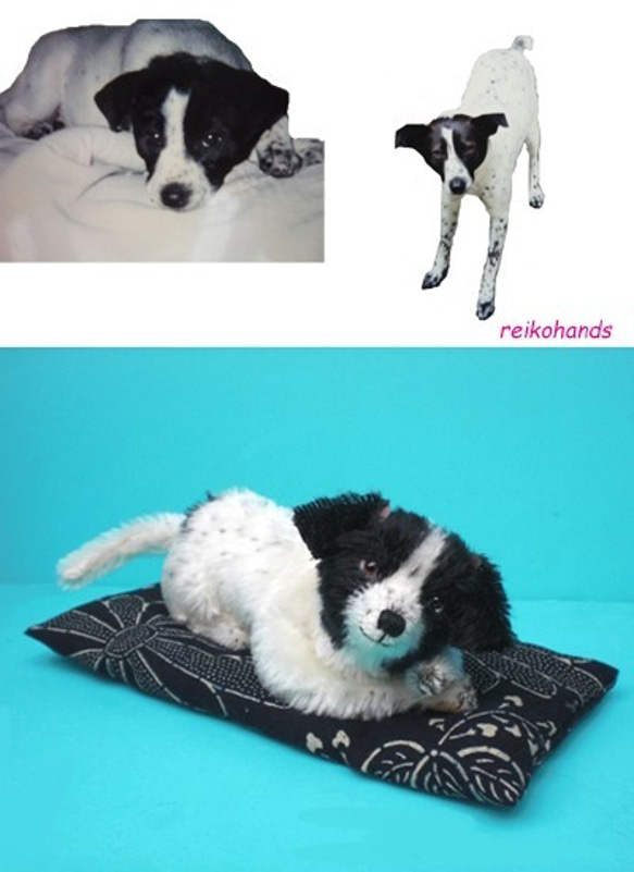[受注製作]　体長25ｃｍ伏せポーズ・写真から作る愛犬のぬいぐるみ 3枚目の画像