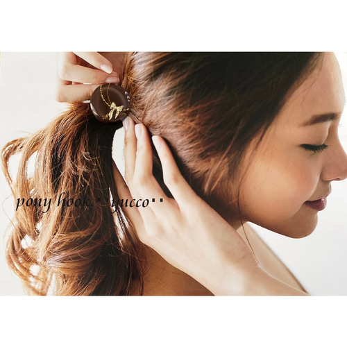 ◇受注制作◇【レジン＊ポニーフック・ヘアゴム・帯留め】ひかえ