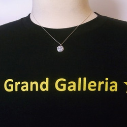 シルバー925　星座「水瓶座」ネックレス　選べる天然石・誕生石　Grand Galleria 3枚目の画像