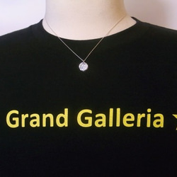 シルバー925　星座「山羊座」ネックレス　選べる天然石・誕生石　Grand Galleria 3枚目の画像