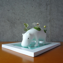 苔蘚 hippo_hippo 和植物雕像 第1張的照片