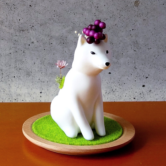 [Creema有限點10倍]苔芝犬（Mosushibainu）_柴犬和植物塑像&lt;grape.ver&gt; 第2張的照片