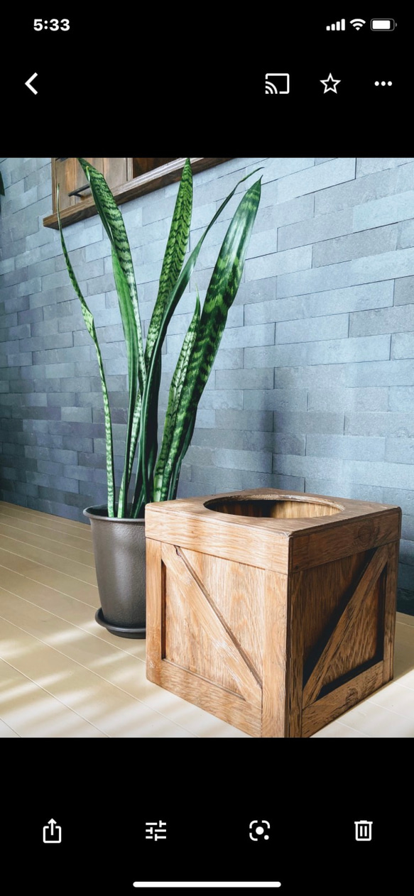 カントリー　ダストbox   観葉植物　アメリカン　ヴィンテージ 1枚目の画像