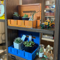 コンテナ　ティッシュケース　観葉植物　多肉植物　アメリカン　ヴィンテージ　(受注生産になります) 11枚目の画像
