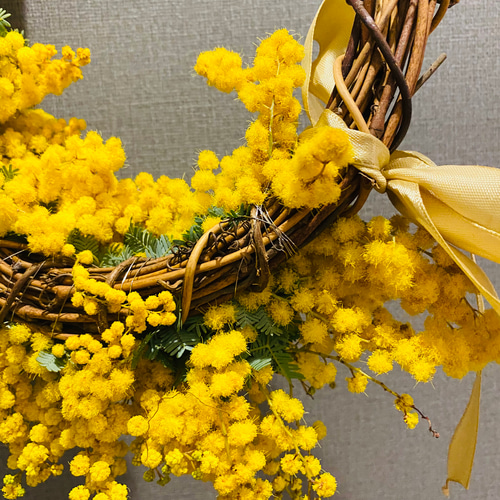 予約 フレッシュミモザのハーフリース リボンカラー選択 リース six