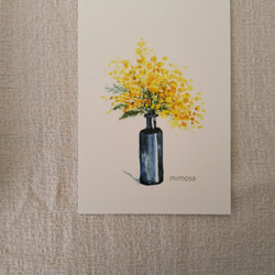 ①『mimosa』水彩画　はがきサイズ　3枚セット 2枚目の画像