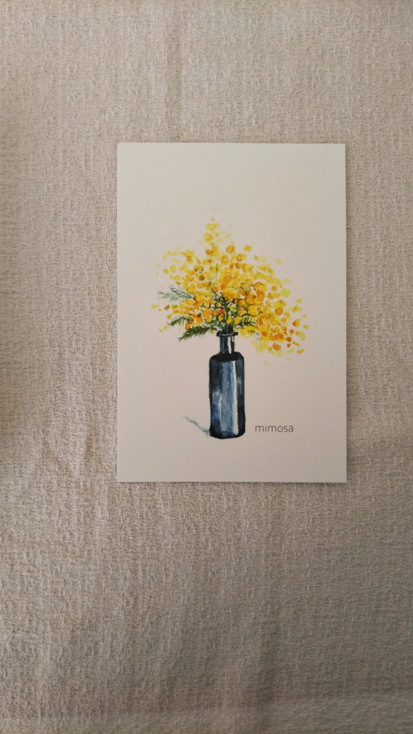 ①『mimosa』水彩画　はがきサイズ　3枚セット 2枚目の画像