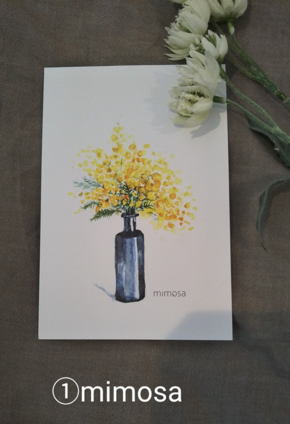 ①『mimosa』水彩画　はがきサイズ　3枚セット 4枚目の画像