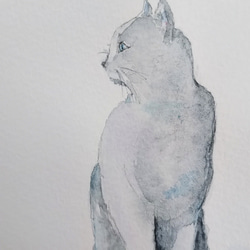 猫の水彩画　＆　ポストカード4枚　計5点set❣ 3枚目の画像