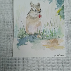 リス　水彩画【原画】 3枚目の画像