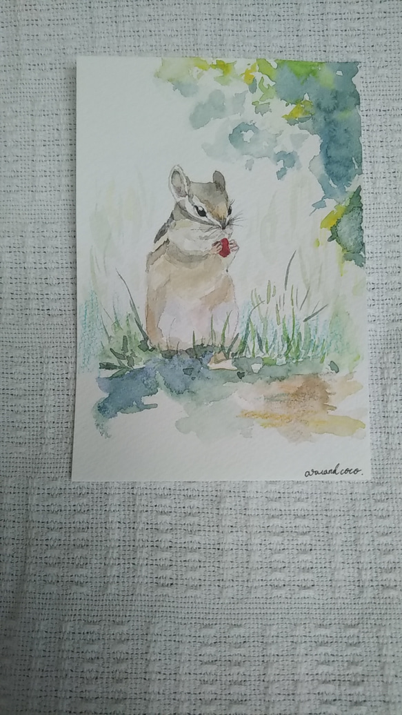 リス　水彩画【原画】 3枚目の画像