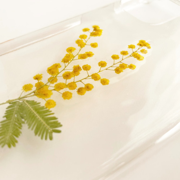 simple mimosa 　～ふわふわミモザのシンプル押し花ケース　全機種対応 3枚目の画像